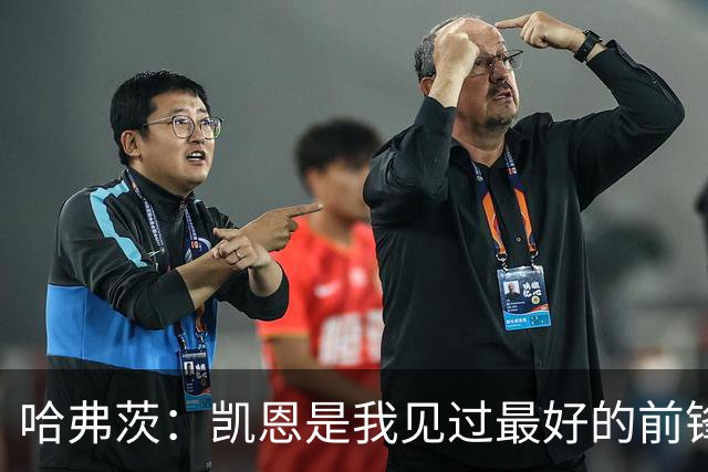 哈弗茨:凯恩是我见过最好的前锋之一;谁进球并不重要